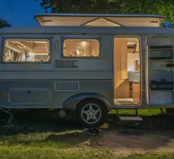 white and brown camper trailer beside tree